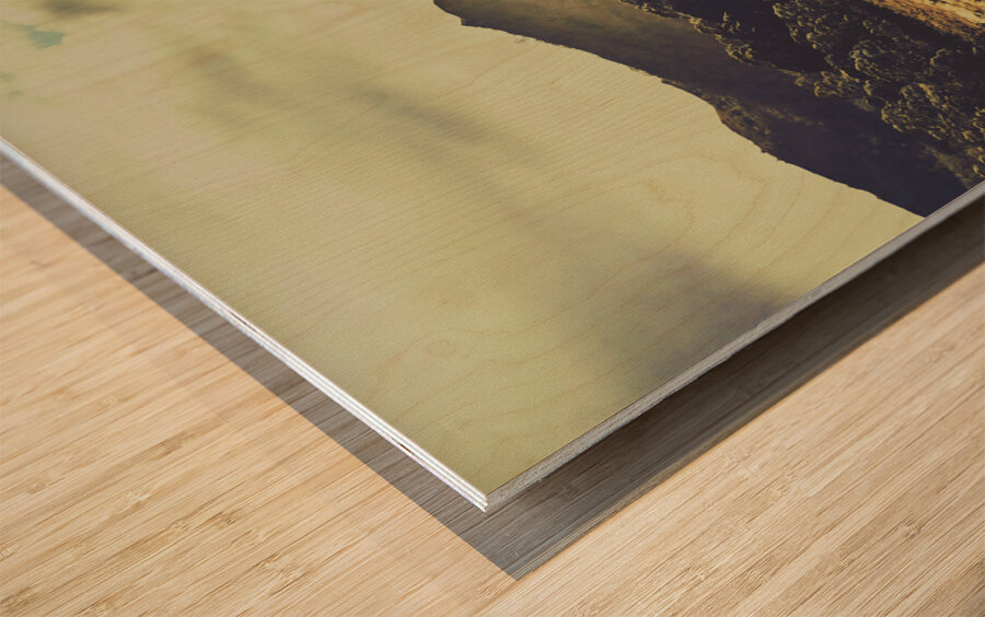 Sun bleached Australia Wood print