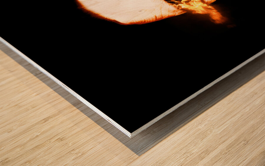 Scorn Of Shipton: Visions Of Fire Wood print