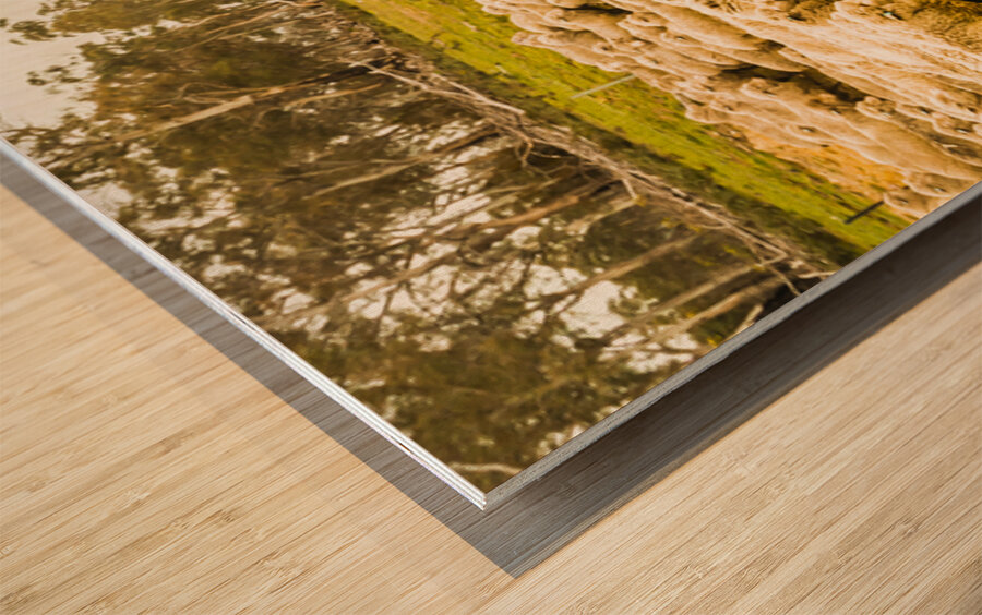 Outback road crossing Wood print