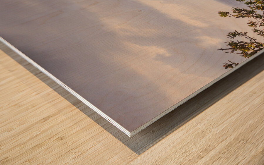 Paradisaical  Wood print