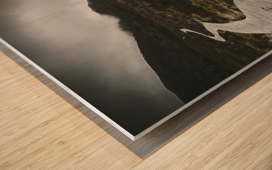 Dark dramatic winter landscape. Path of division Wood print