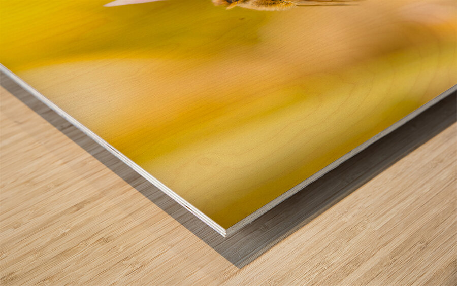 Lavender bee Wood print