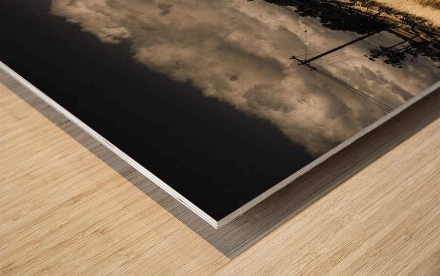 Tasmania landscape of an outback cattle station Wood print