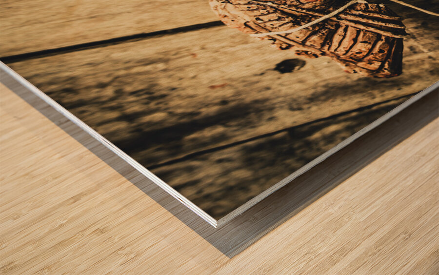 Manipulating the Trojans  Wood print