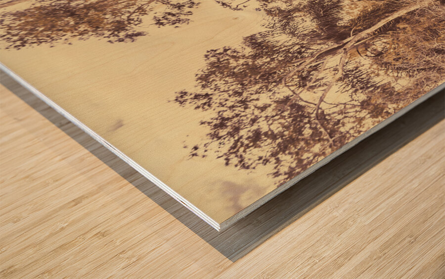 Old Woodery Wood print