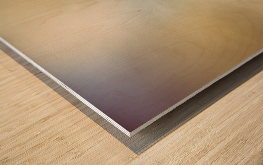 Fargone Farmhouse Wood print