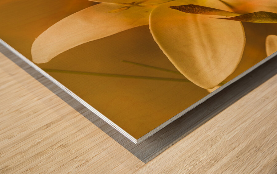 Flames of intimacy Wood print