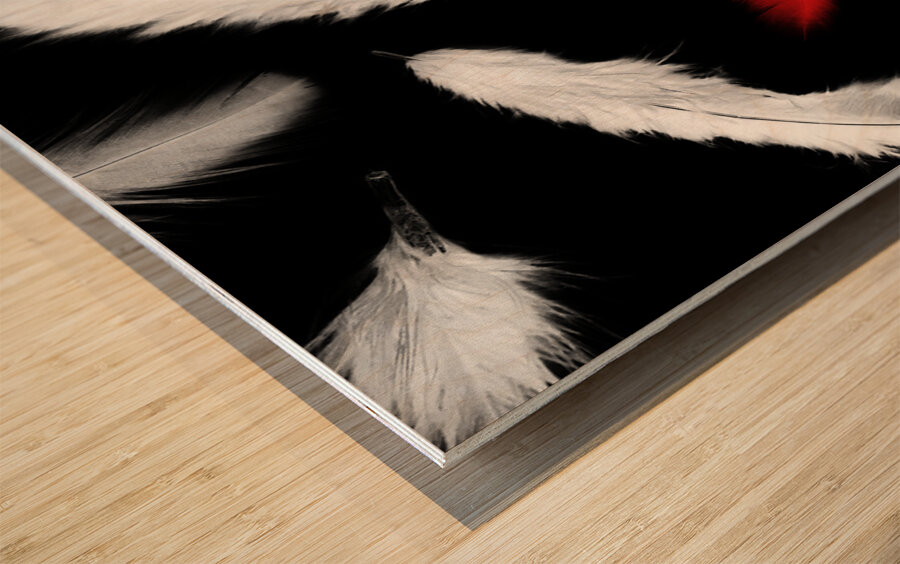 A different design Wood print