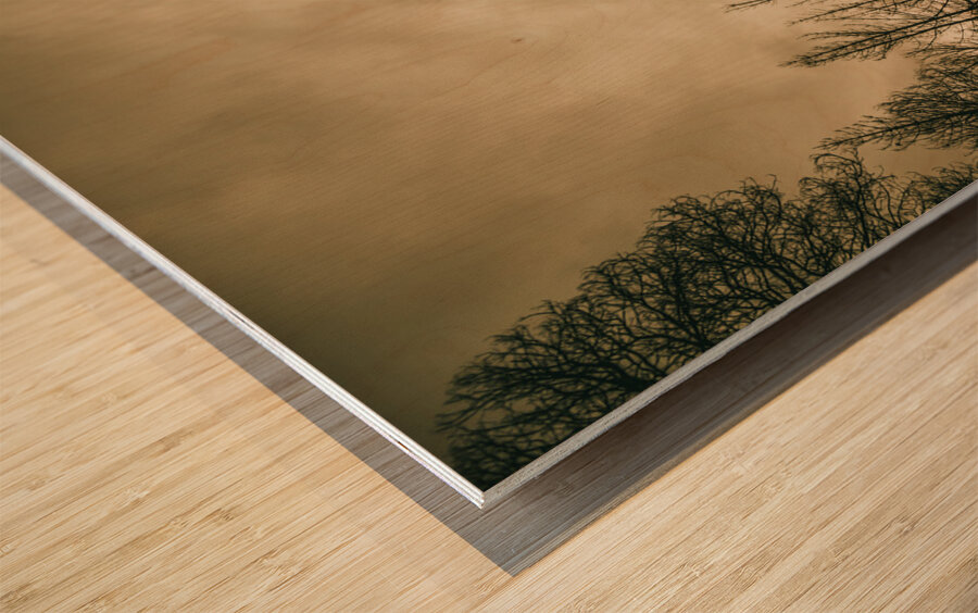 Twists and turns Wood print