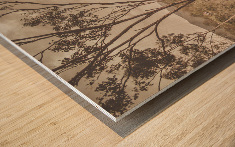 Calming country Wood print