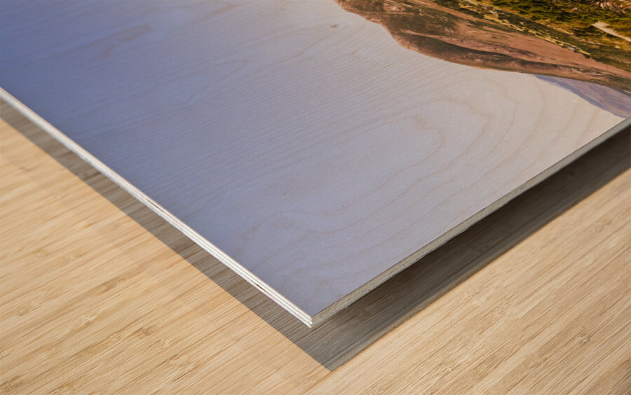 Regional ruggedness Wood print