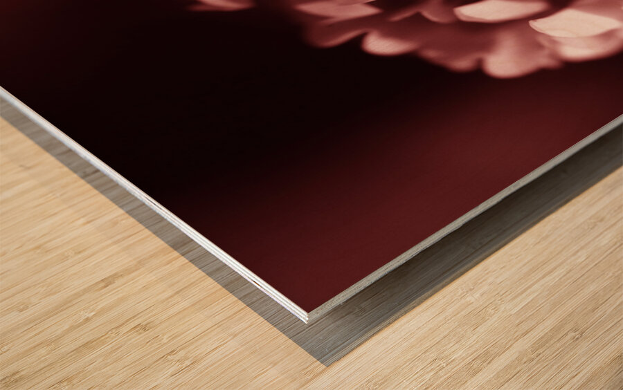 Clover Flower Wood print