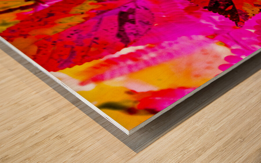Color cluster Wood print