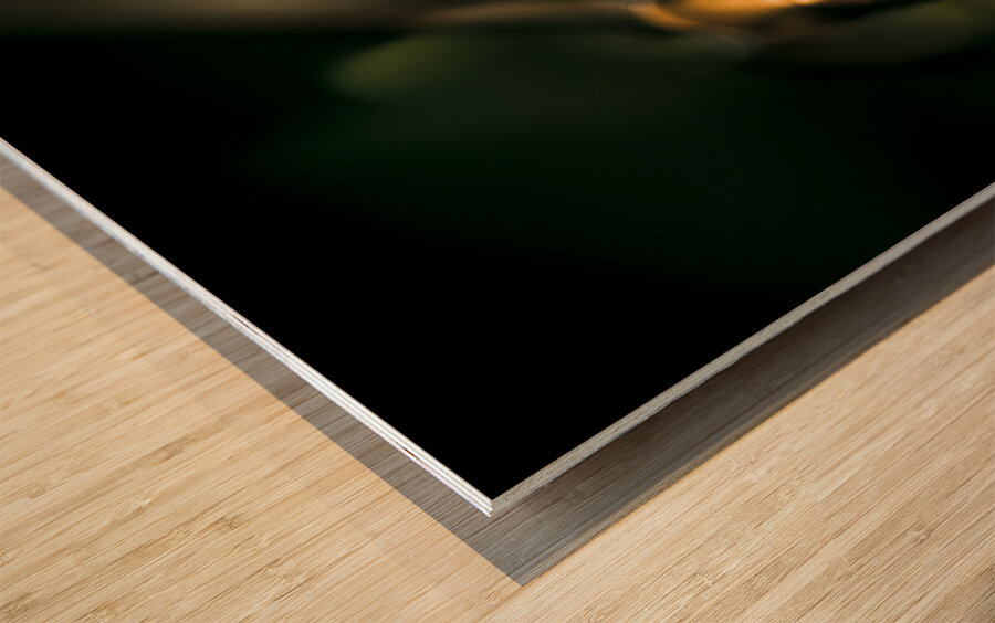 Leaf Bites Wood print