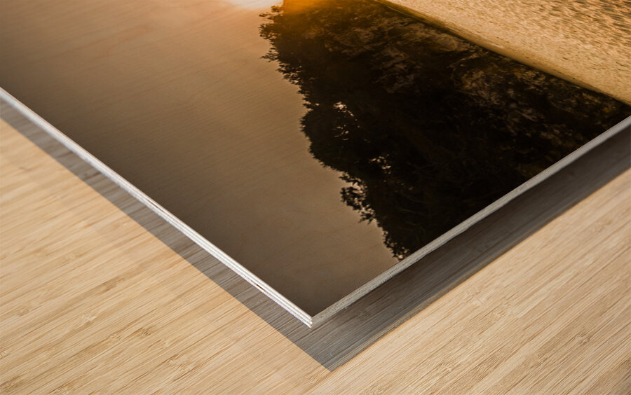 Point of light Wood print