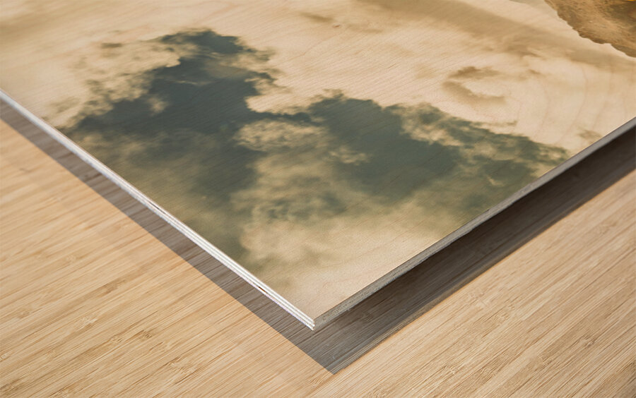 Wondrous Australia wilderness  Wood print