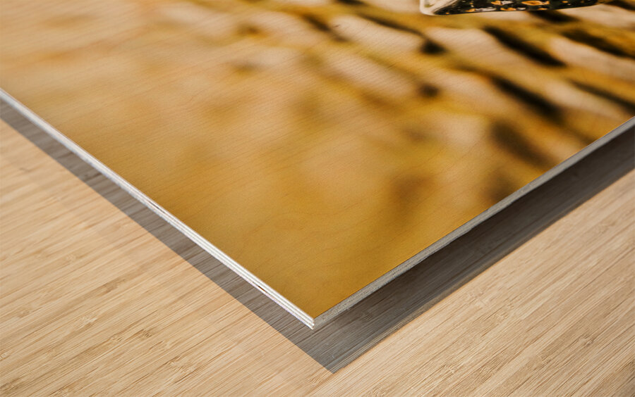 The Roman Pavement Wood print