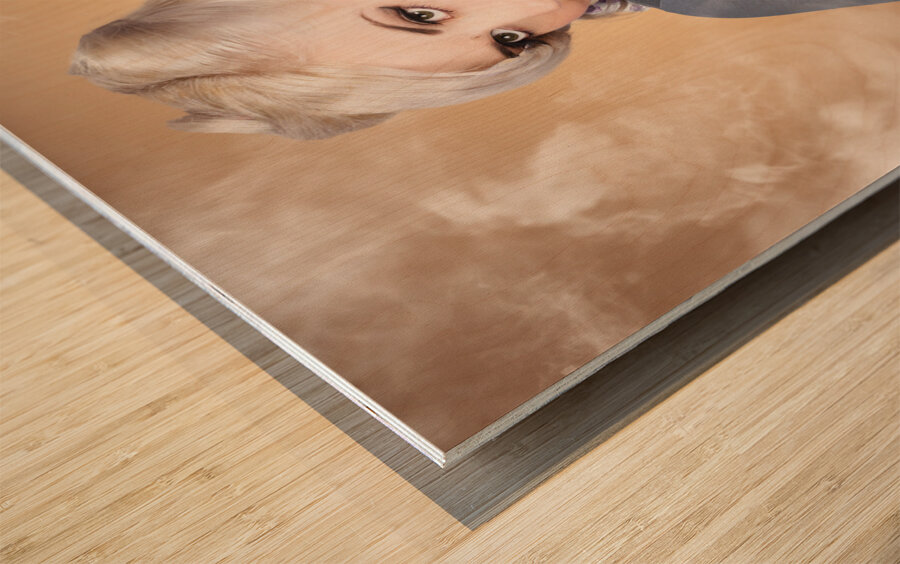 Retro women and homemakers. Pin up Cooking Wood print