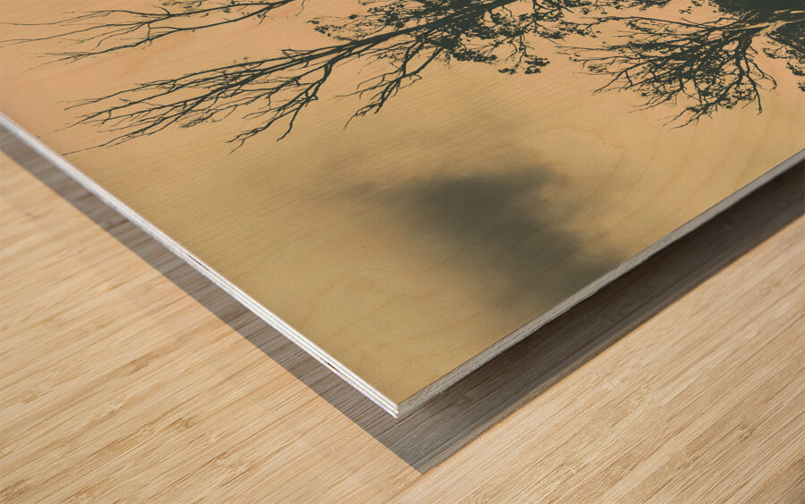 Wild Australian scrublands Wood print