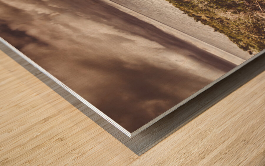 Trail to Western Tasmania Wood print