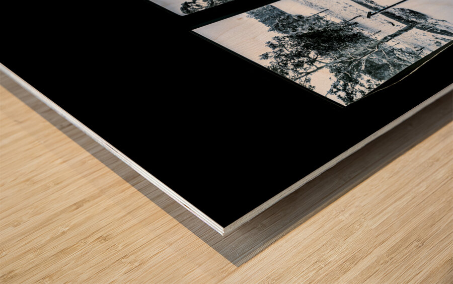 Windows to winter Wood print