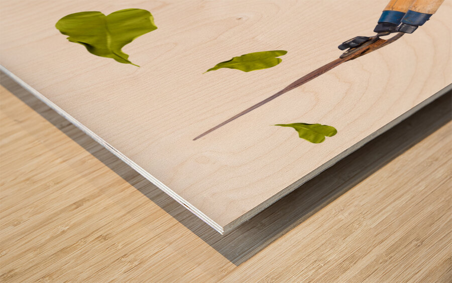 Glamorous woman gardening Wood print