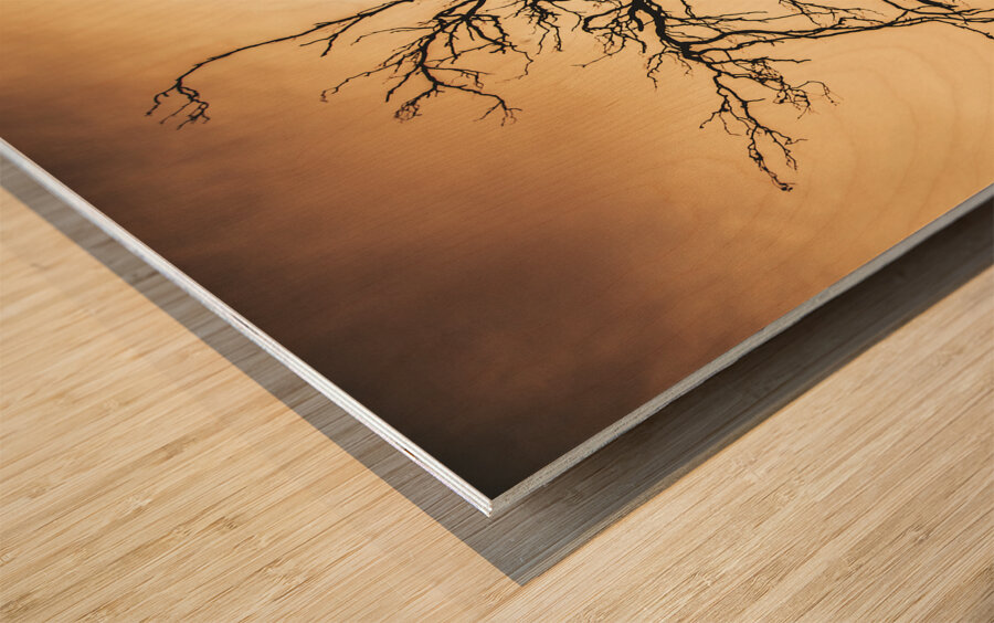 Dead tree silhouette Wood print