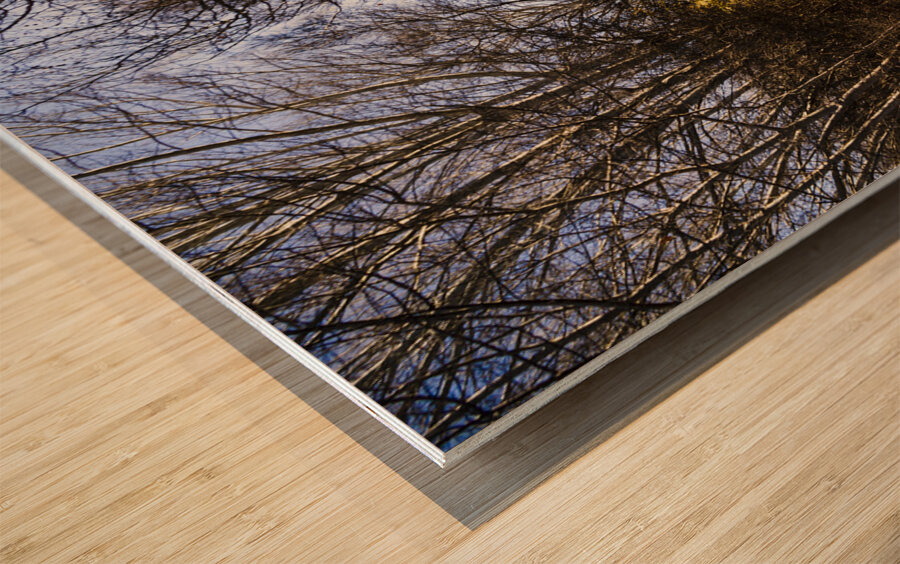 The way to Swansea Wood print