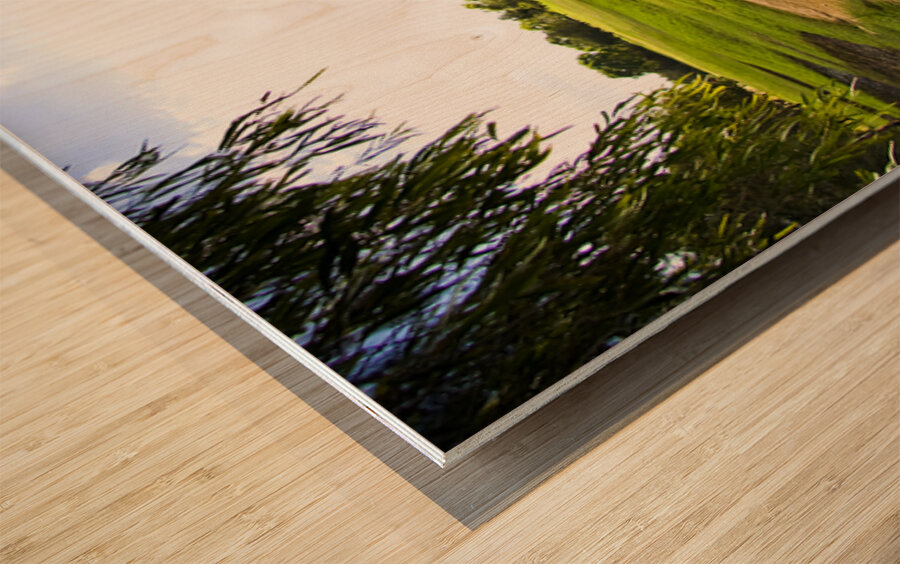 Golf Course Landscape Panorama Wood print