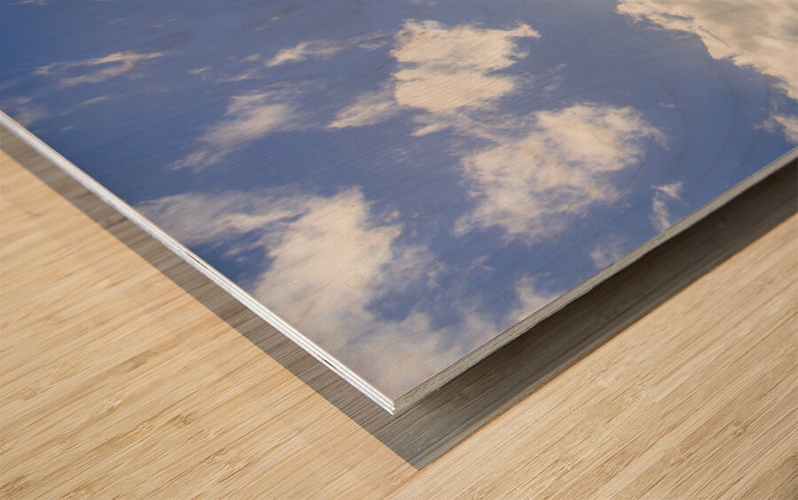 Travel Australia beach scenes Wood print