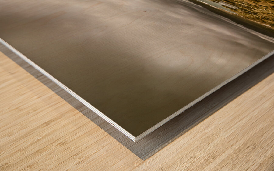 Beauty in oceanic drama Wood print