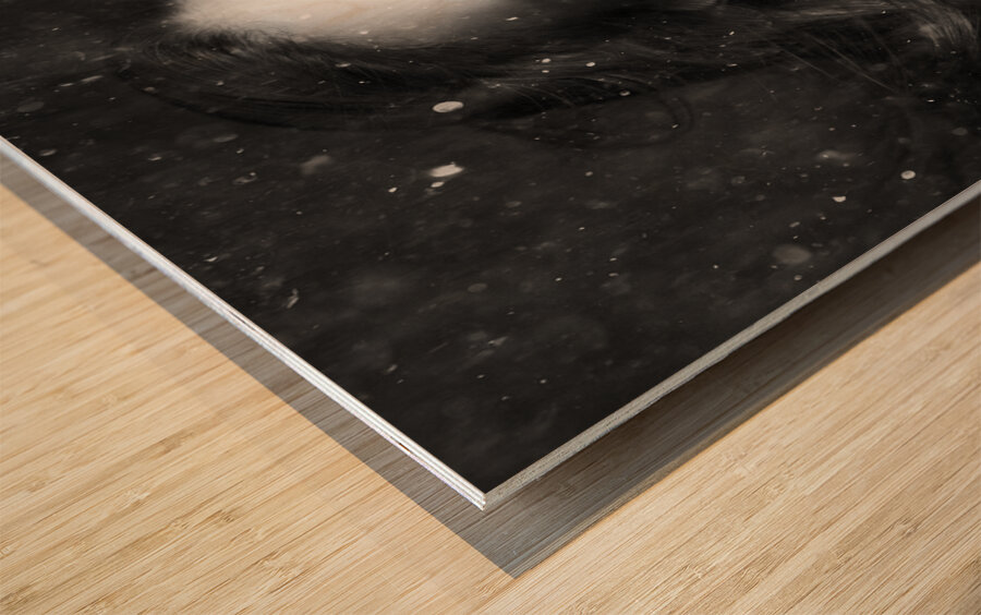 Running From The Rain Wood print