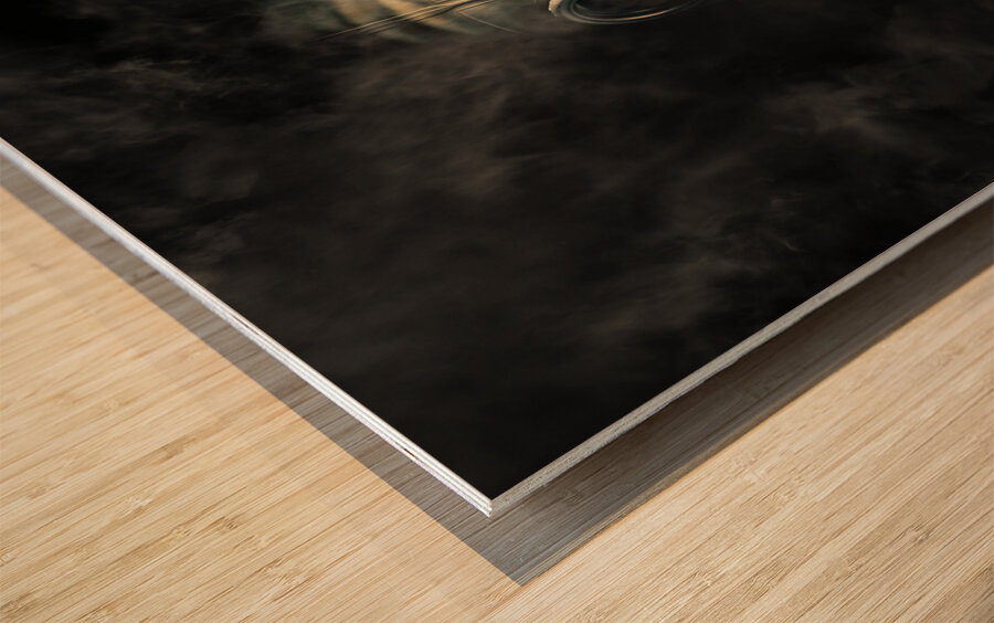 Biohazard death and destruction Wood print