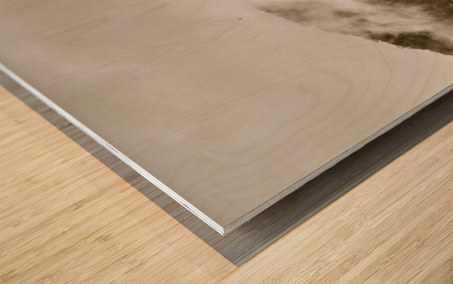 Misty mountains Wood print