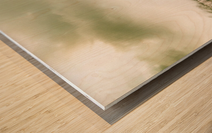 Untouched mountain wilderness Wood print