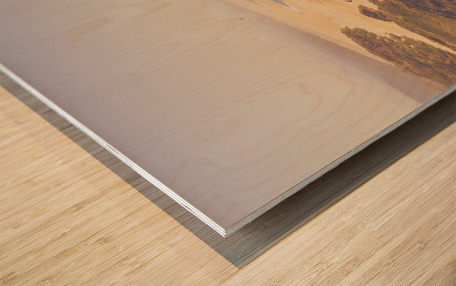 Trial Harbour to Ocean Beach Wood print