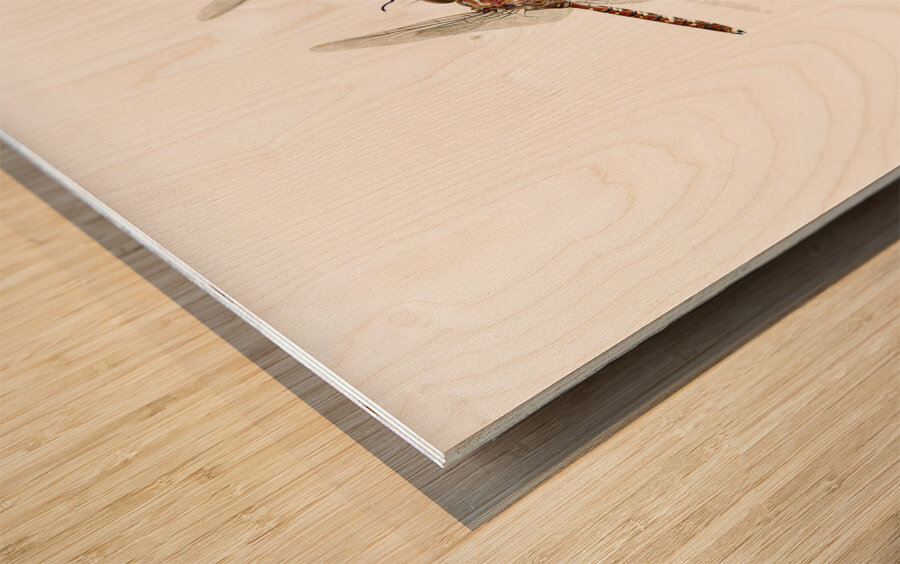 The Great Romanticism Wood print