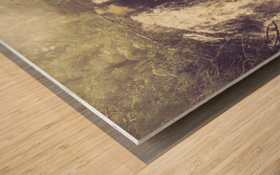 Imaginations wild Wood print