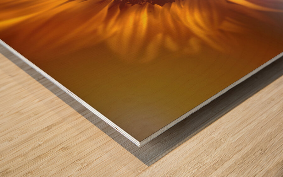 Flower flare Wood print