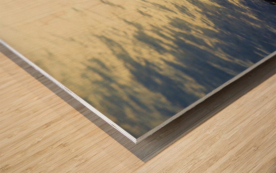 Edge of the wild Wood print