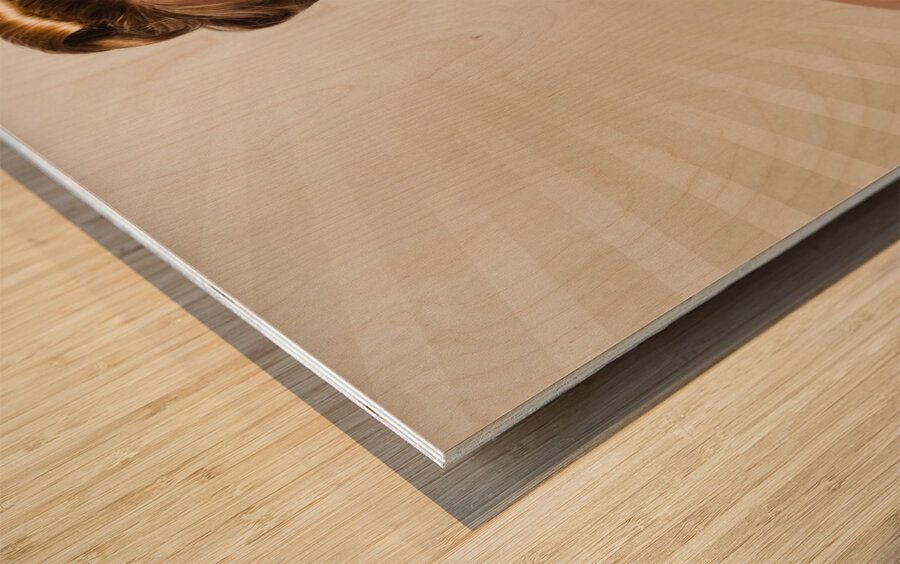 Beautiful Woman Photographer Holding Retro Camera Wood print