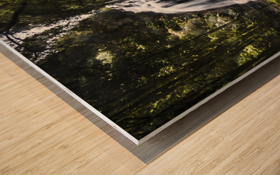 Waterfall wonders Wood print