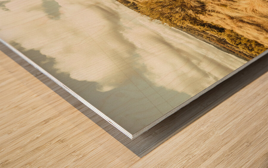 Rugged Australian pastures Wood print