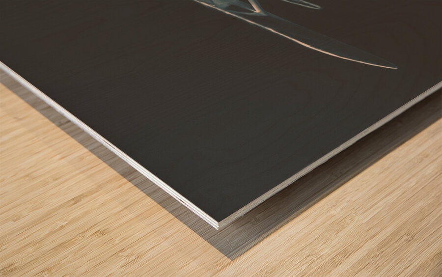 Tin wings Wood print