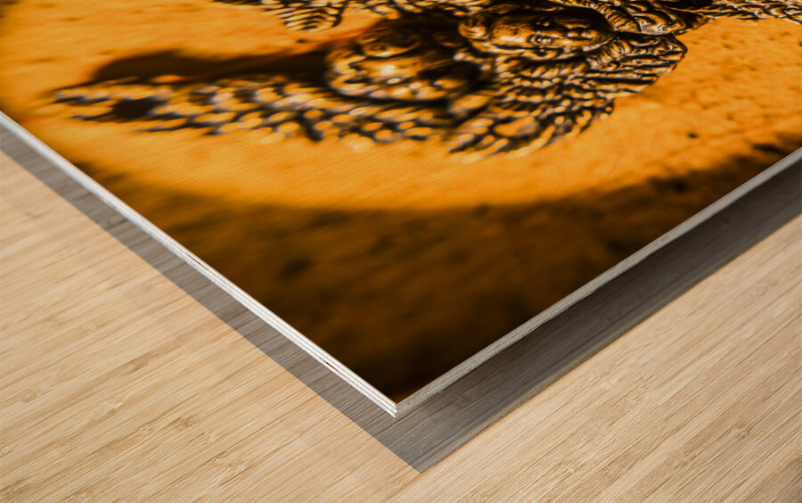 Circle of guardian angel elders Wood print