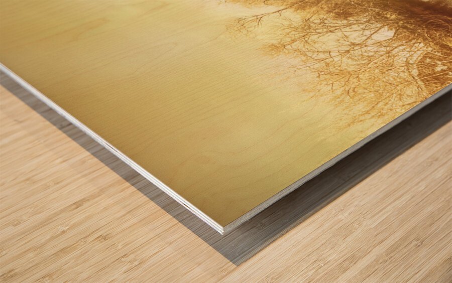 Richmond Tasmania riverscape Wood print