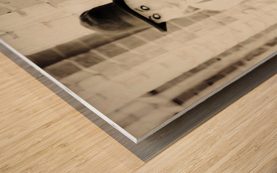 Retro Lifestyle Wood print