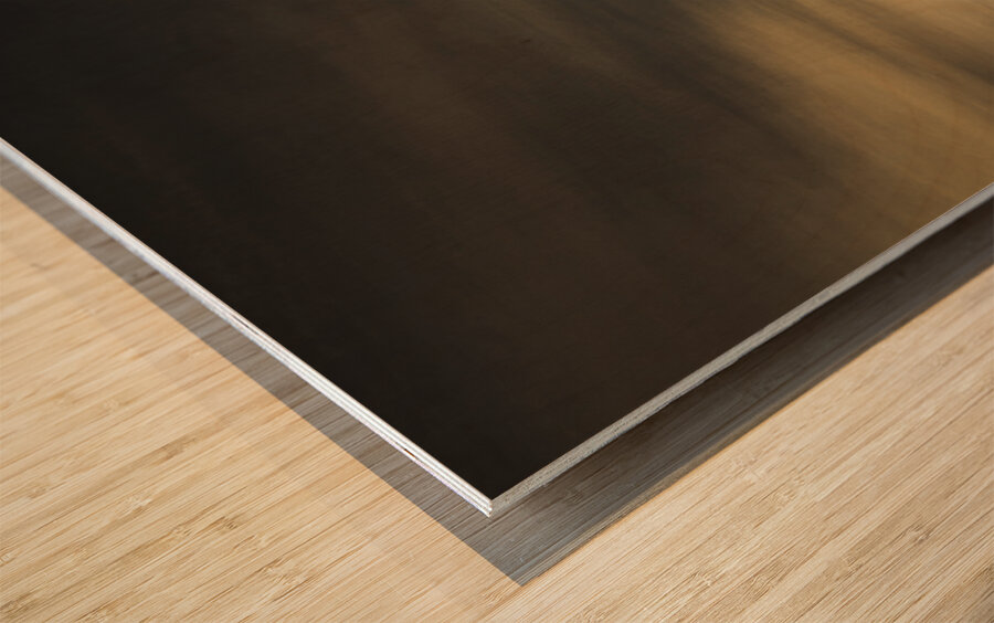 Regional ranch ruins Wood print