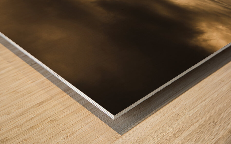 Redcliffe Jetty Wood print