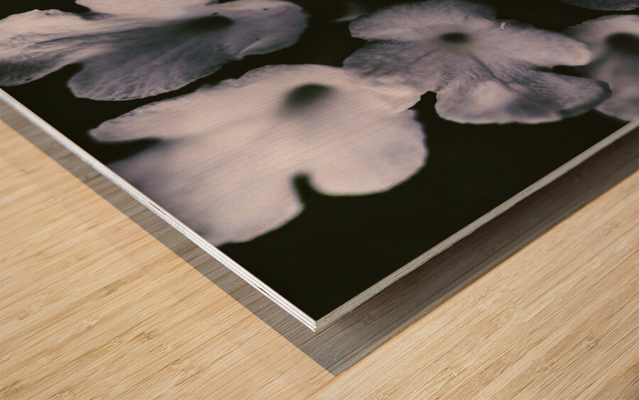 Artistic dark blue flowers in night winter garden Wood print